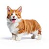 Petique Razz Berry Pet Stroller for Cats and Dogs-13